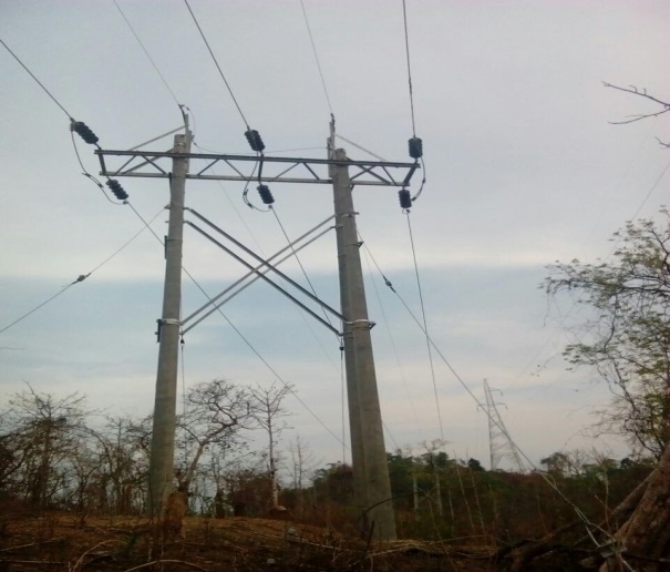 neemrana transmission